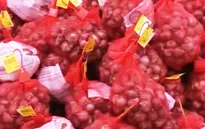 Chuyến "Hành tím nghĩa tình" đầu tiên đã được chuyển ra Bắc