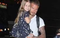 Cô út Harper nũng nịu trong vòng tay Becks