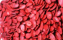 Thận trọng khi lựa chọn hạt dưa, bánh chưng Tết