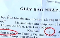 Nguyên nhân nào dẫn đến sai sót tại Đại học Huế?