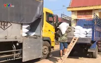 Đăk Lăk: Hoàn thành cấp gạo theo QĐ 138 của Chính phủ