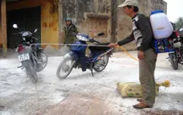 Thanh Hóa: Xuất hiện ổ dịch cúm gia cầm A/H5N6