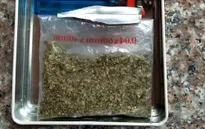 Mỹ: Phát hiện cần sa trong hộp quà tặng Lễ Phục sinh