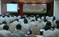 Đẩy mạnh sản xuất nông nghiệp theo hướng VietGAP