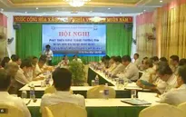 Phát triển rừng trồng bằng vốn tín dụng quay vòng của WB3