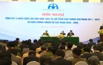 Tai nạn giao thông giảm trên 50% trong vòng 5 năm qua
