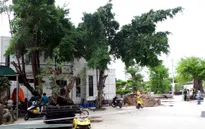 Nhìn lại vụ thảm sát tại Bình Phước: Sau 3 ngày bắt được nghi can