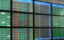Gắn kết thị trường chứng khoán với cổ phần hóa