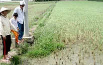 Chính phủ chỉ đạo đối phó hạn hán, xâm nhập mặn