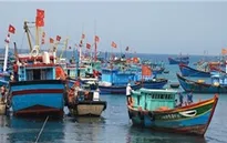 Phú Yên: Tăng cường quản lý tàu cá ngừ đánh bắt xa bờ