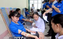 Sôi nổi các hoạt động tình nguyện hướng về cộng đồng