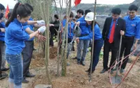 Nhiều địa phương phát động Tết trồng cây Xuân Ất Mùi 2015