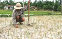 EVN đảm bảo yêu cầu cấp nước vùng khô hạn