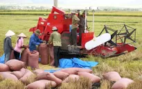Lập "nhóm phản ứng nhanh" về xuất khẩu nông sản