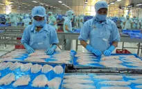 Xuất khẩu cá tra sang Anh liên tục tăng trưởng