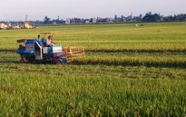 Ninh Bình: Sét đánh làm 4 người thiệt mạng