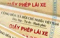 CHOÁNG khi liên tục phát hiện tài xế xe khách sử dụng bằng lái giả