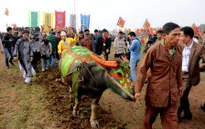 Khai hội đền Mẫu Âu Cơ và Lễ hội Tịch điền Đọi Sơn