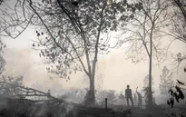 Indonesia: Tình trạng khói mù do cháy rừng ngày càng nghiêm trọng
