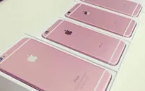 Sẽ không có iPhone 6S phiên bản màu hồng?
