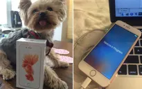 iPhone 6S bất ngờ đến tay người dùng trước ngày mở bán chính thức