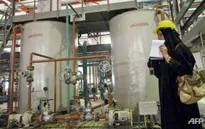 Mỹ, EU bắt đầu dỡ bỏ cấm vận kinh tế đối với Iran