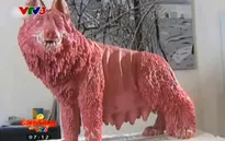 Sáng tạo nghệ thuật từ... kẹo cao su