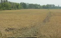 Đăk Lăk: Hàng ngàn hộ dân thiếu nước sinh hoạt do khô hạn