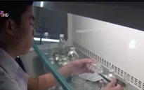 TP. HCM sẽ mua kết quả nghiên cứu khoa học