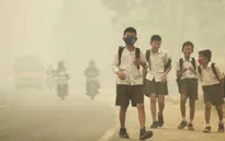Ít nhất 19 người thiệt mạng do khói mù tại Indonesia
