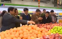 Bộ Y tế kiểm tra an toàn thực phẩm