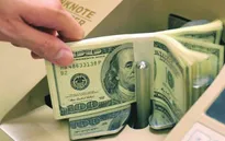 Lãi suất USD giảm không ảnh hưởng đến thu hút kiều hối ở TP. HCM