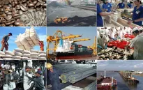 Kinh tế Việt Nam có nhiều dấu hiệu khởi sắc