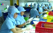 TP.HCM: Làng nghề thủ công chuyển mình sang hiện đại