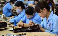 Tranh chấp lao động có xu hướng gia tăng