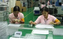 Nhiều công ty xuất khẩu lao động đi Đài Loan thu phí sai quy định