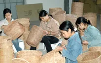Đề xuất ưu đãi vay vốn với DN sử dụng nhiều lao động nữ