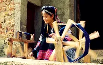 Niềm vui lao động của người Việt Nam