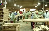 Chỉ 19,5% lao động Việt Nam được qua đào tạo
