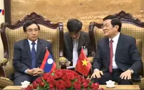 Chủ tịch nước hội kiến Chủ tịch Hội Hữu nghị Lào - Việt Nam