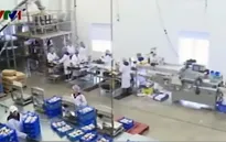 Canada: Hơn 70.000 lao động nhập cư sẽ buộc phải chấm dứt hợp đồng