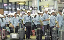 Tình hình cấp phép lao động Việt Nam tại Thái Lan