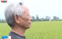 Lão nông kiếm hơn 12 tỷ đồng một năm từ tái chế lốp xe