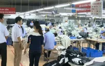 Phát hiện hơn 1.700 vi phạm lao động trong ngành dệt may