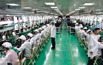 Bảo vệ quyền lợi lao động Việt Nam tại Đài Loan (Trung Quốc)