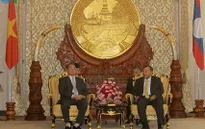 Thường trực Ban Bí thư Lê Hồng Anh hội kiến Phó Chủ tịch nước Lào