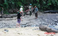 Nghệ An: Người dân liều mình vớt củi giữa dòng nước xiết