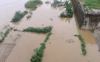 Lũ thượng nguồn sông Hồng dâng cao đột ngột tại Lào Cai