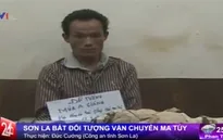 Sơn La: Bắt đối tượng vận chuyển ma túy với số lượng lớn