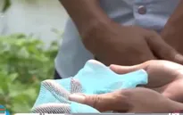 Gia Lai: Màn chống muỗi dùng sai mục đích